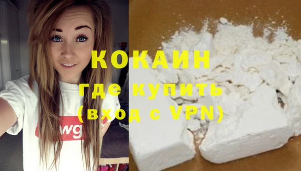 дживик Бронницы