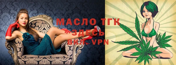 дживик Бронницы