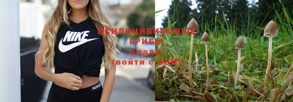 кокаин премиум Бородино
