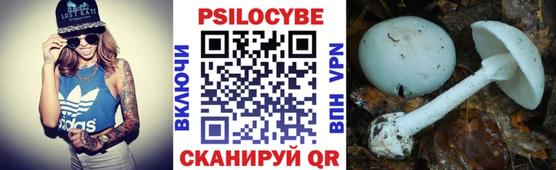 Купить закладки  Котельнич  Псилоцибиновые грибы Cubensis 